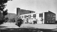 Chirurgische Klinik. Düsseldorf 1954-58